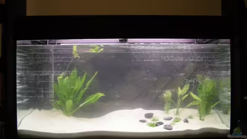 Stand 03.07.2009 von derduff (3)