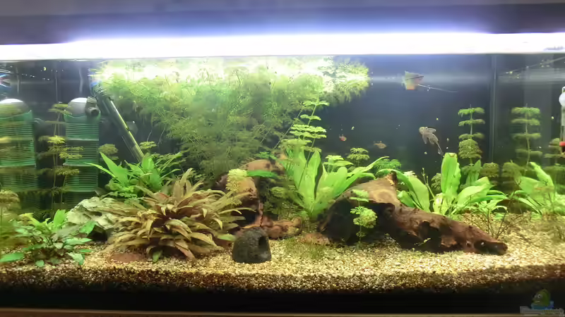 Stand 04.03. von . (6)