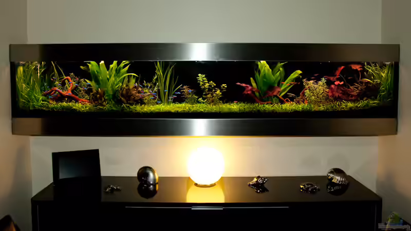 Stand 04.09.2010 von Maik A. (2)