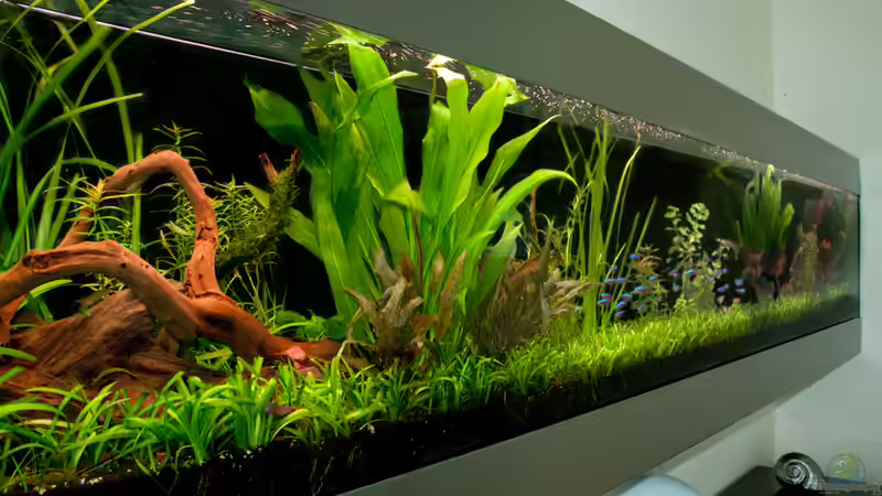 Stand 04.09.2010 von Maik A. (3)