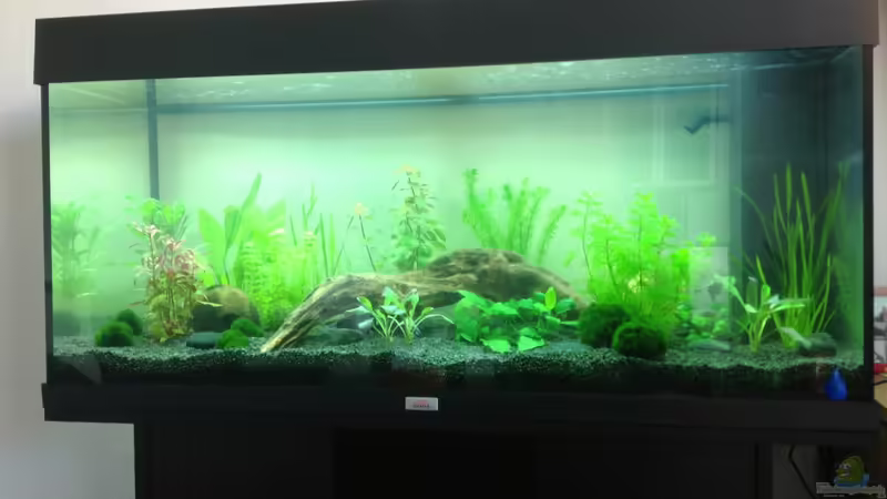 Stand 05.05.2013 von Mondüüü (4)