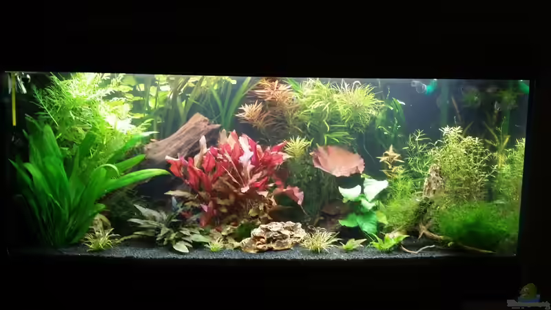 Stand 05.09.15 von Anna-RS (1)