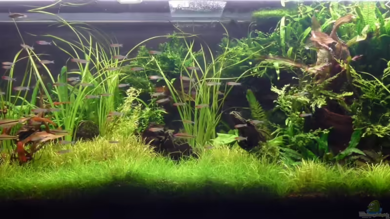 Stand 05/2012 von Torsten Franke (8)