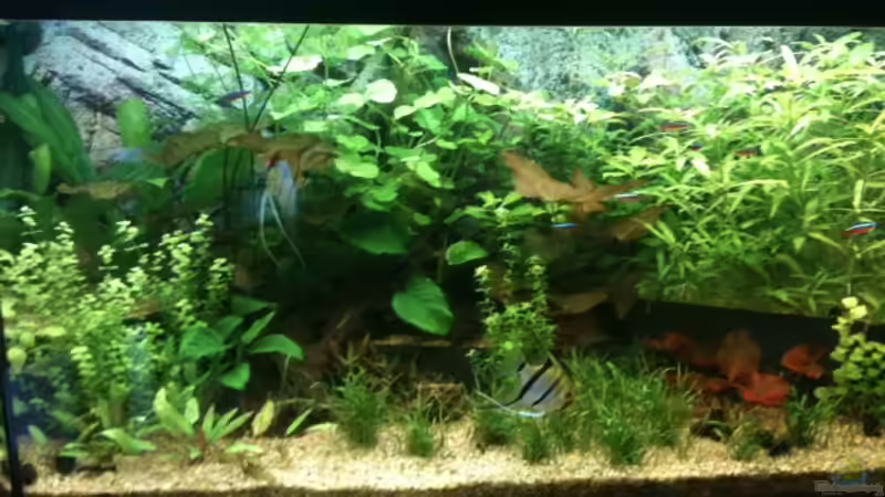 Stand 06.04.11 von Andreas Glissmann (14)