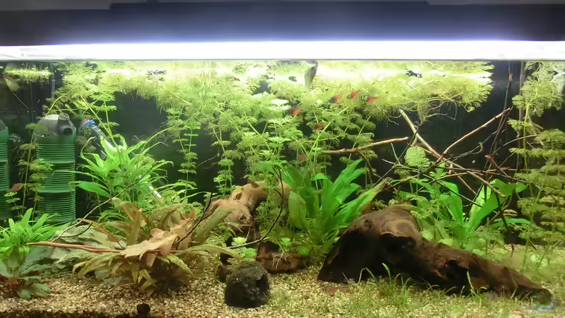 Stand 06.05. von . (11)