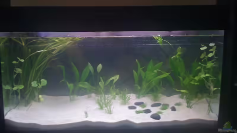 Stand 06.07.2009 von derduff (2)