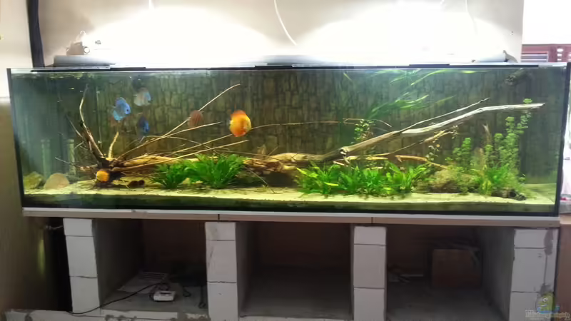 Stand 06.08.2013 von kellerkind (8)