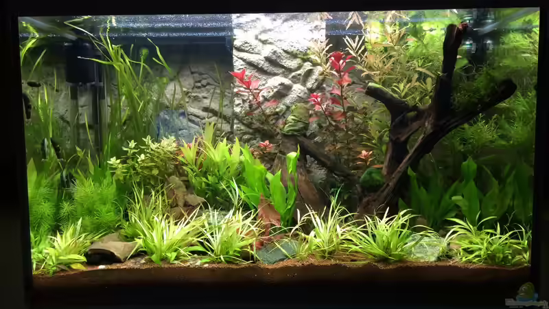 Stand 07.01.2015 von Fliegerle (3)