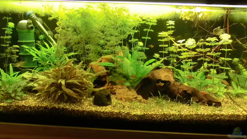 Stand 07.04. von . (9)