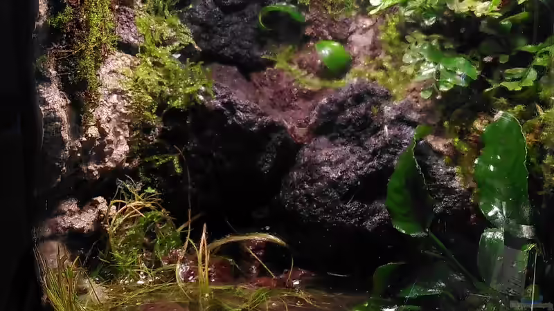 Stand 08.2023 von Stephi (5)