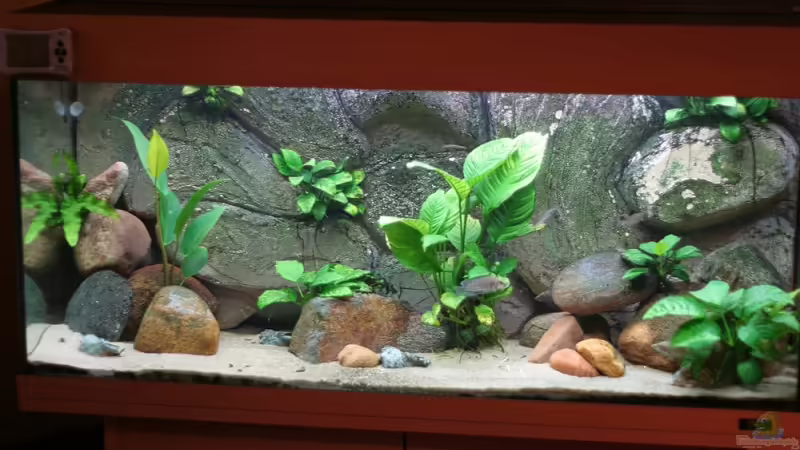 Stand 09. August 2008