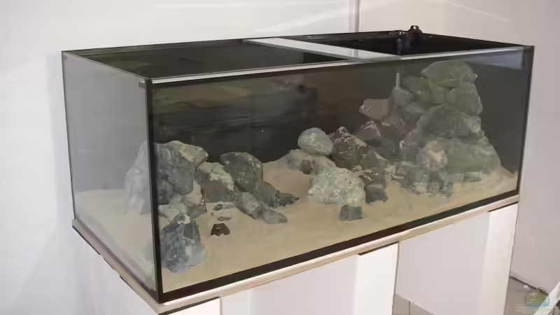 Stand 09.06.2008 (noch kein Wasser im Becken) von Andi*Sehlde (2)