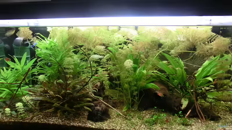 Stand 09.09. von . (17)