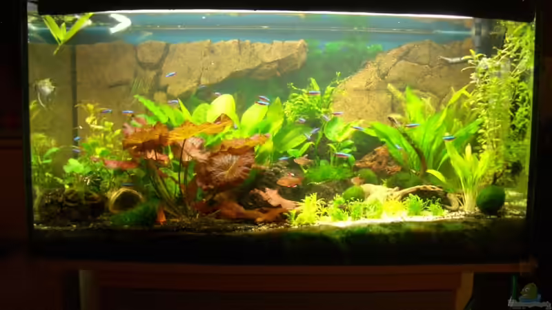 Stand_09.10.10 von Stifflersmom76 (1)