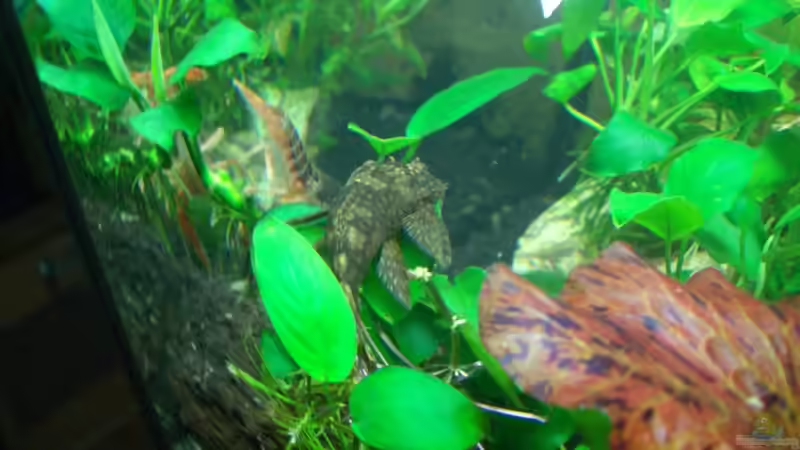 Stand_09.10.10 von Stifflersmom76 (19)