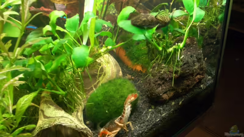 Stand_09.10.10 von Stifflersmom76 (20)