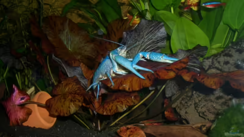 Stand_09.10.10 von Stifflersmom76 (22)