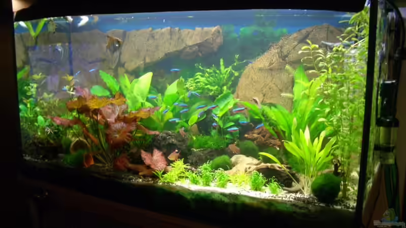 Stand_09.10.10 von Stifflersmom76 (4)