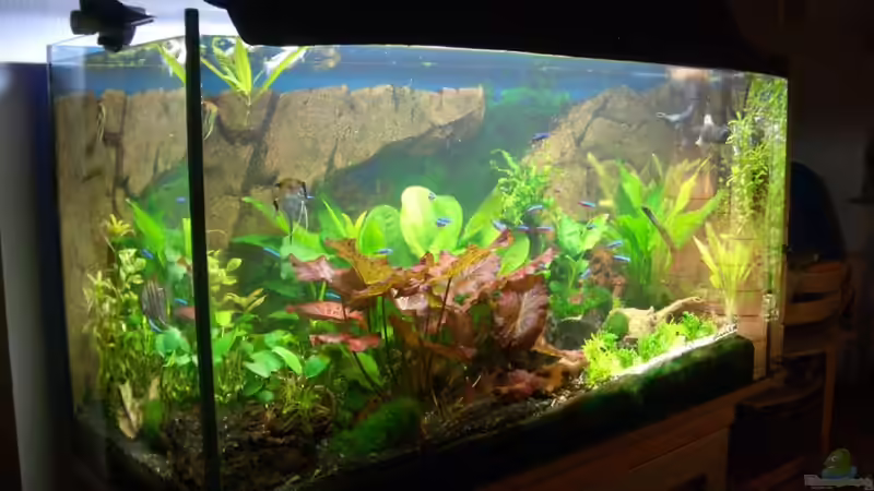 Stand_09.10.10 von Stifflersmom76 (5)