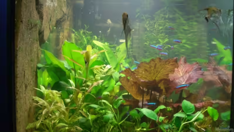 Stand_09.10.10 von Stifflersmom76 (6)