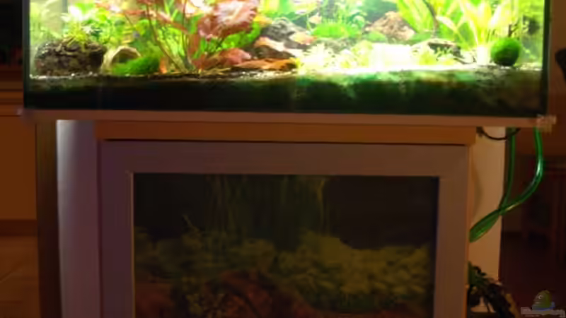 Stand_09.10.10 von Stifflersmom76 (7)