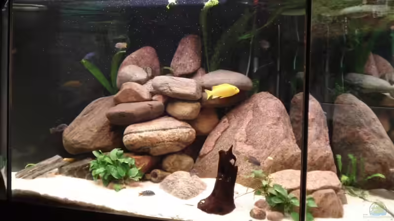 Stand 1. November 2008 von axxlon (1)