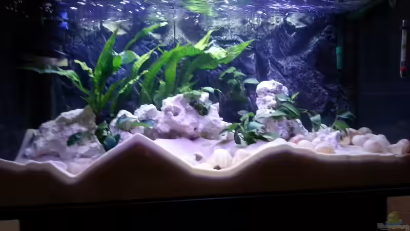 Stand 1.1.2014 von Daniel Kastner (10)