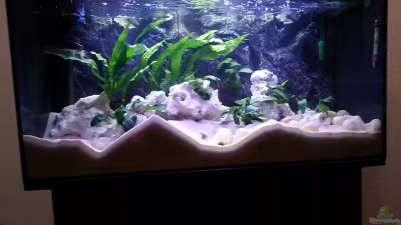 Stand 1.1.2014 von Daniel Kastner (11)