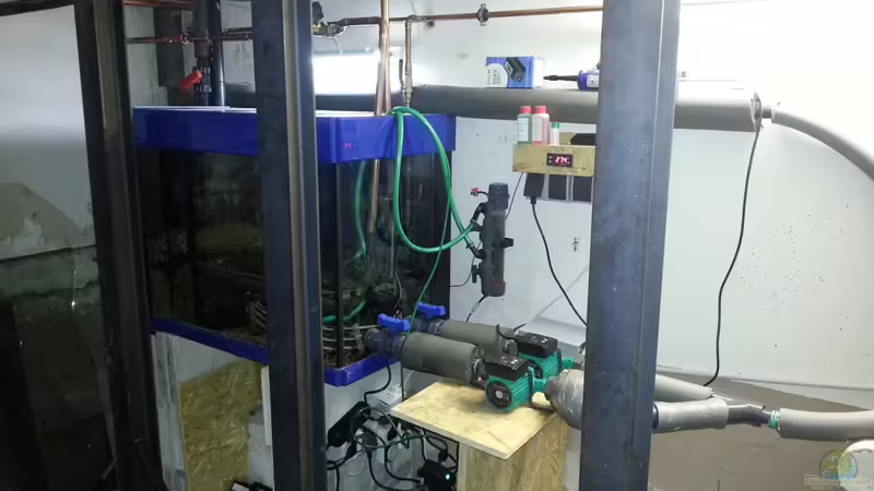 Stand 1.2.2013 von kellerkind (19)