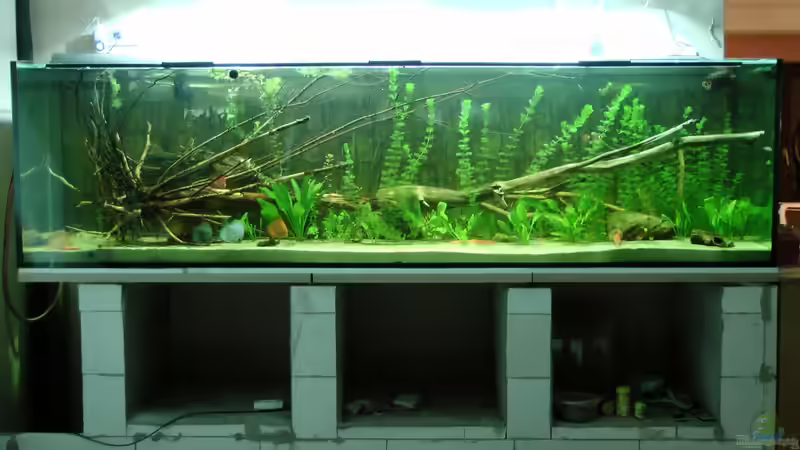 Stand 1.2.2013 von kellerkind (6)