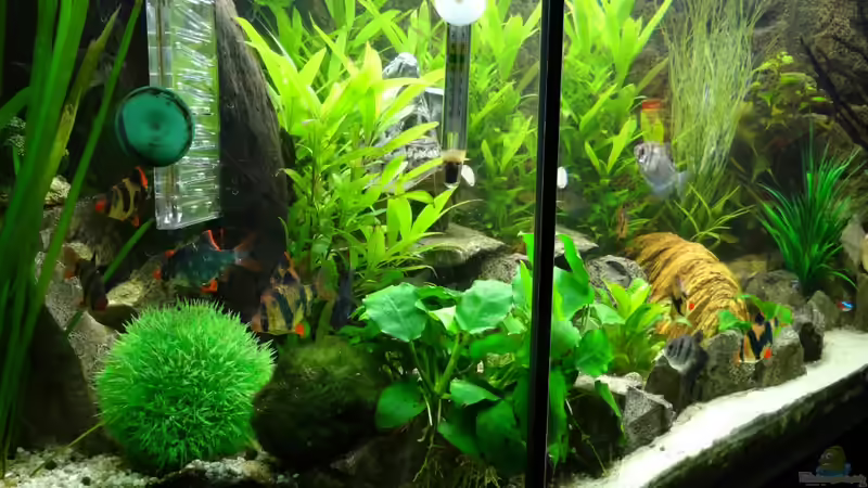 Stand 1 März 2014 von mcfly (40)