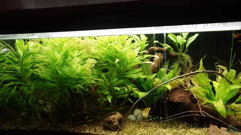 Stand 10.03.2019 von . (20)