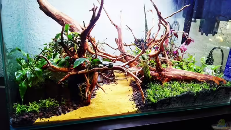 Stand 10.04.2020 von Sarah_Schneider (4)