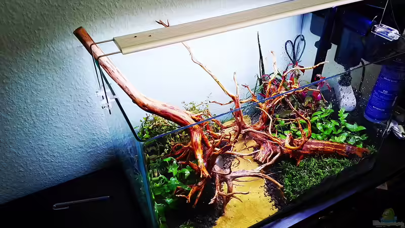 Stand 10.04.2020 von Sarah_Schneider (7)