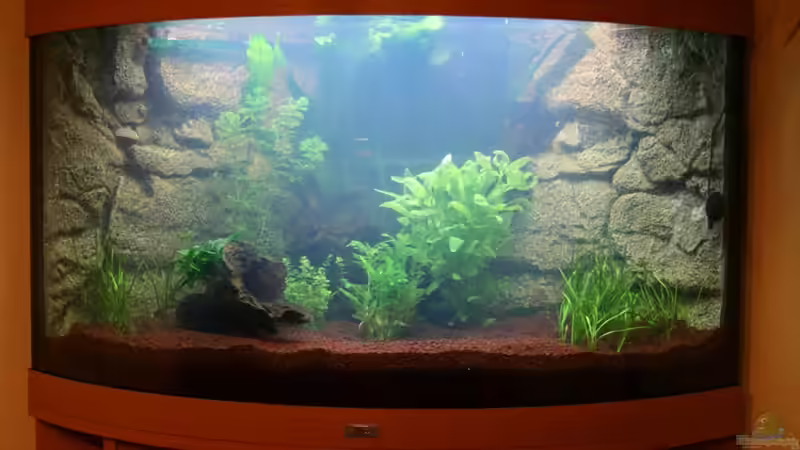 Stand 10.07.2008 von AkGuru (2)