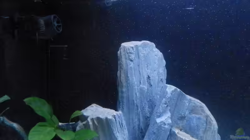 Stand 11.02.19 von Malamute (18)