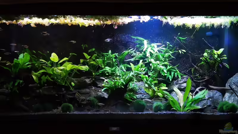 Stand 11.03.2025 von Mark H. (18)