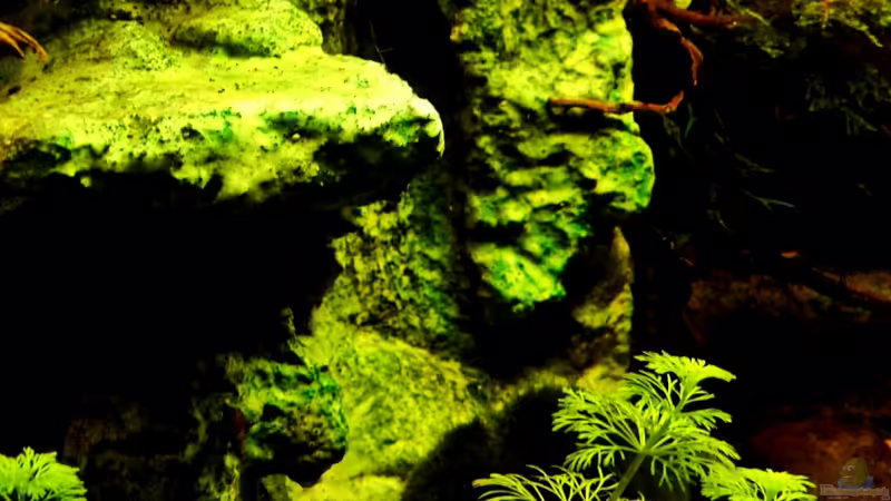 Stand 11-06.2013 von snooze (6)