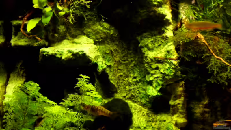 Stand 11.06.2013 von snooze (8)