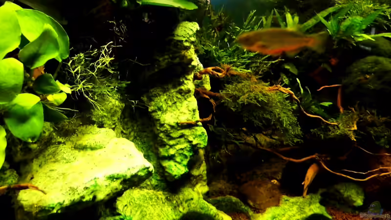 Stand 11.06.2013 von snooze (9)