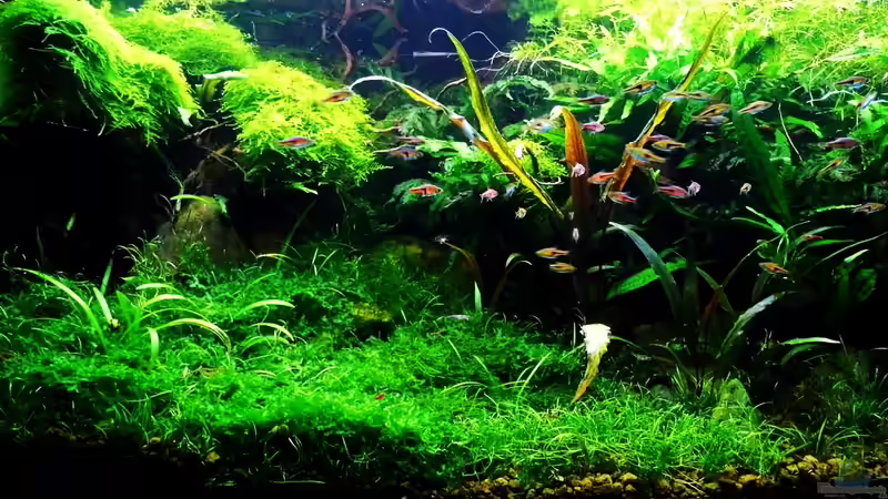 Stand 11.10.2013 von snooze (16)