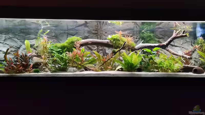 Stand 11.2020 von Woidma (10)