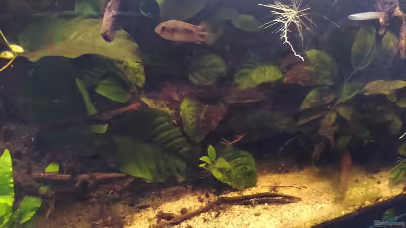 Stand 12.2022 von Stephi (6)