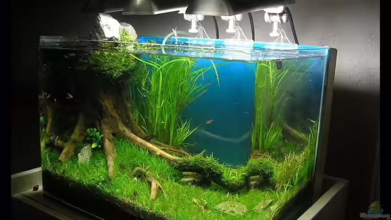 Stand 12.9 von niva (13)