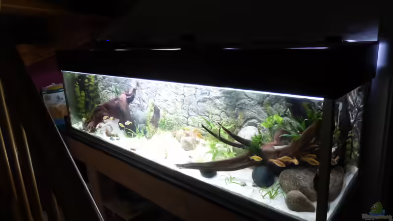 Stand 13.01.2019 mit fertiger Abdeckung von Stefano83 (13)