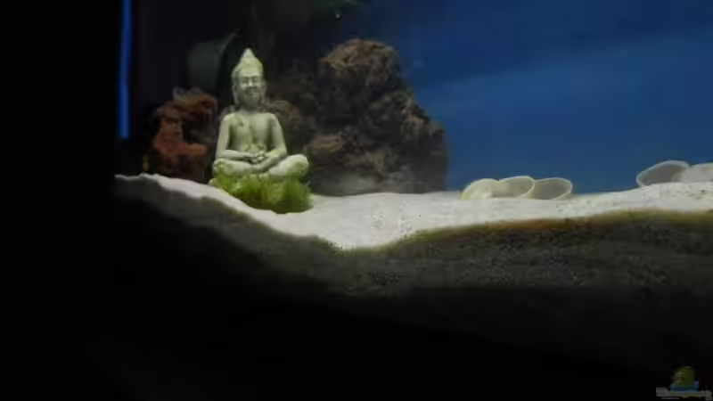 Stand 13.02.19 von Malamute (3)