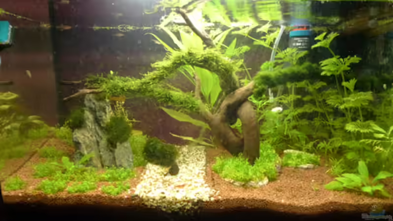 Stand 13-05-10 von Flevus (1)