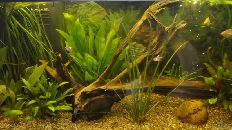 Stand 13.11.2011 von Digrisch (5)