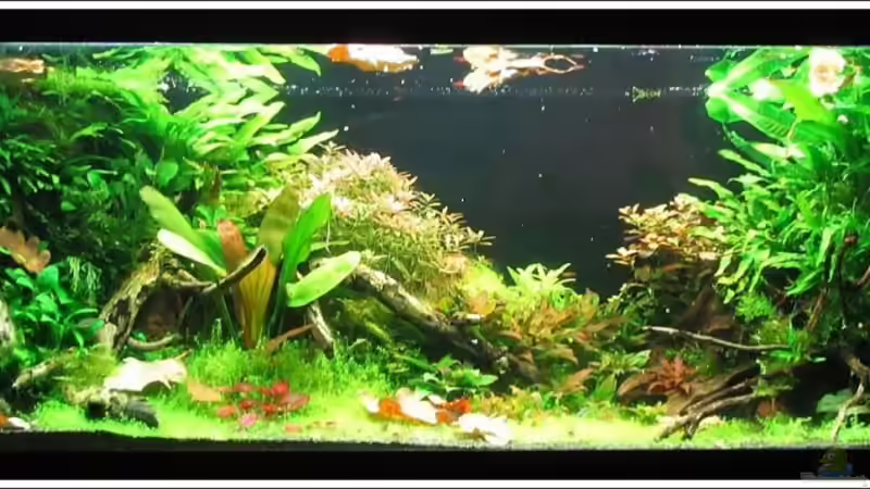 Stand 14.01.10 von -serok- (1)