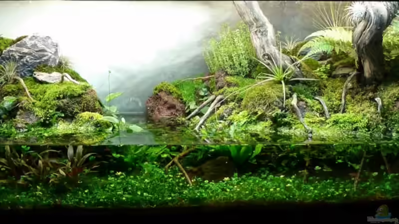 Stand 14.02.11 von -serok- (3)